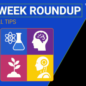 SEO Week practical tips